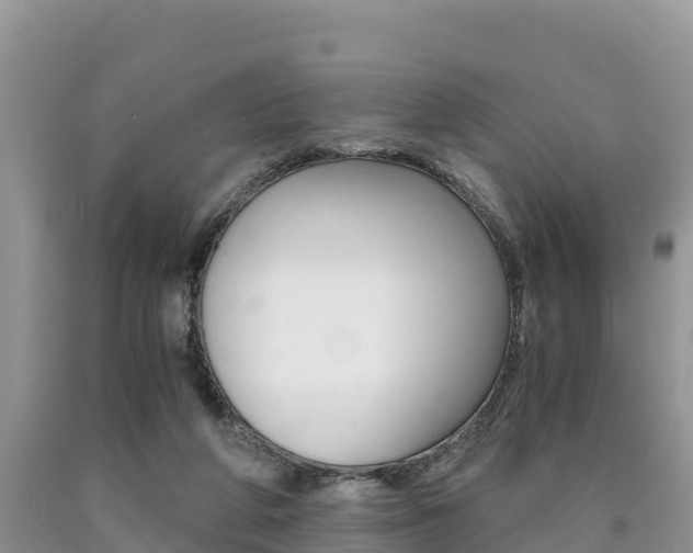 X0000090720210200707201021