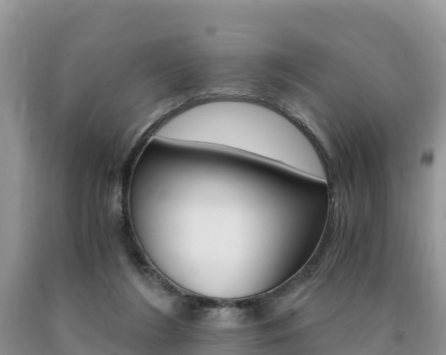 X0000090720212200707201021
