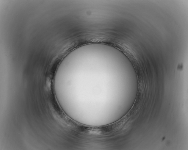 X0000090720214200707201021