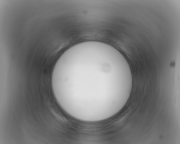 X0000090720215200707201021