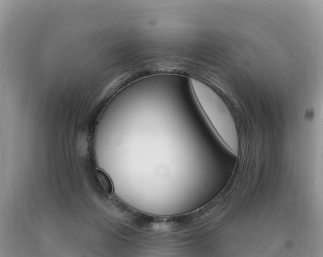 X0000090720216200707201021