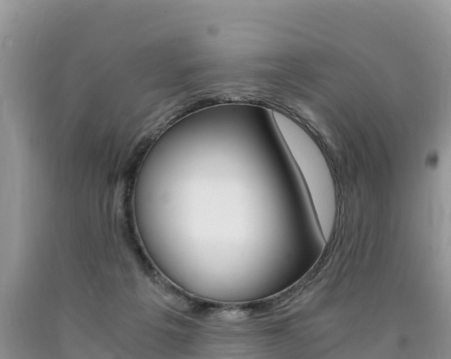 X0000090720217200707201021