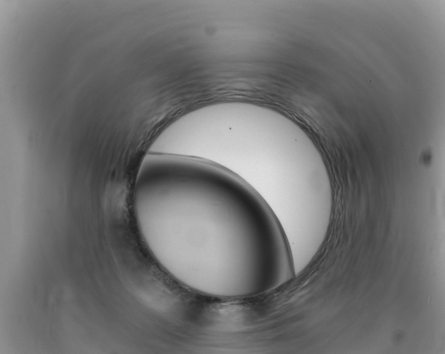 X0000090720219200707201021