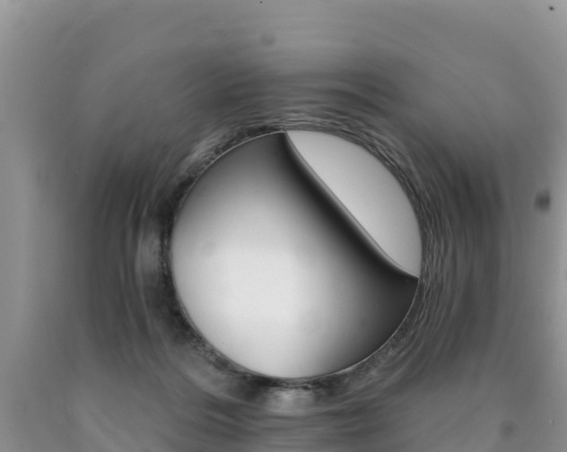 X0000090720220200707201021