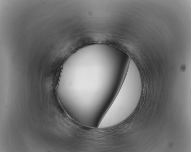 X0000090720221200707201021
