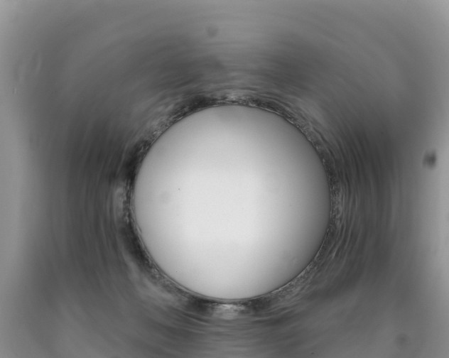 X0000090720222200707201021