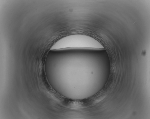 X0000090720223200707201021