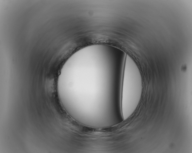 X0000090720224200707201021