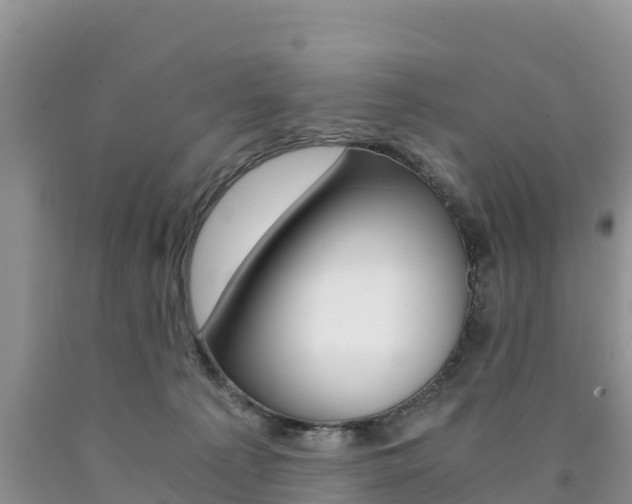 X0000090720225200707201020