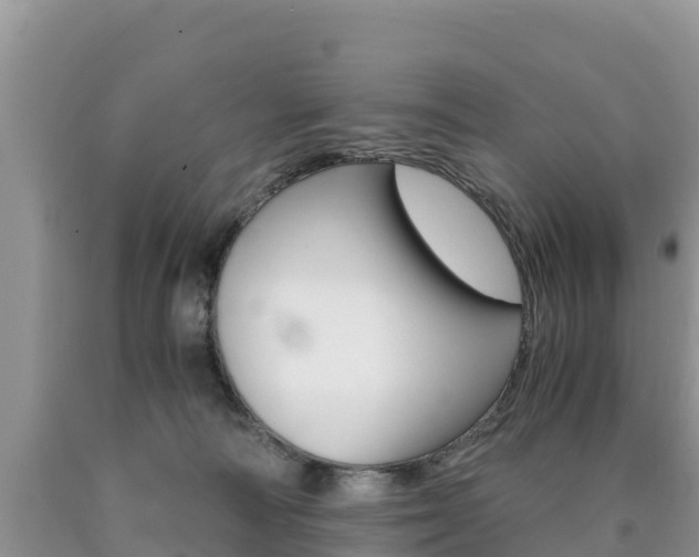 X0000090720226200707201020