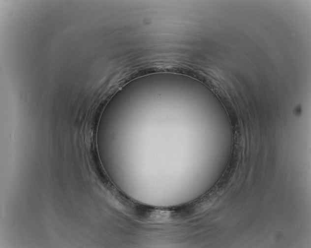 X0000090720227200707201020