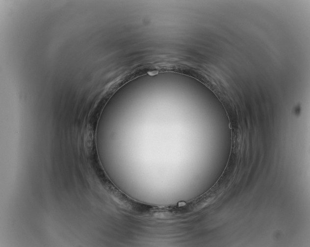 X0000090720228200707201020