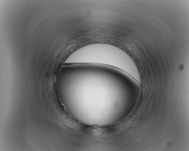 X0000090720229200707201020