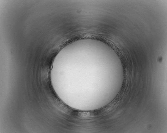 X0000090720230200707201020