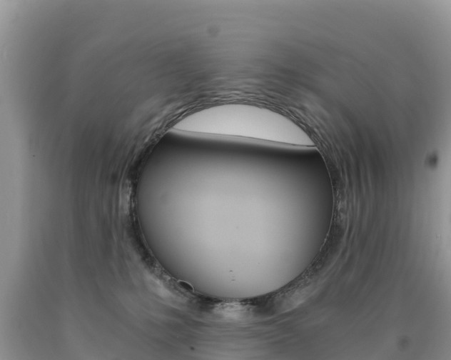 X0000090720231200707201020