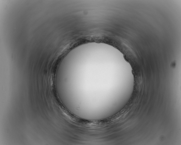 X0000090720232200707201020