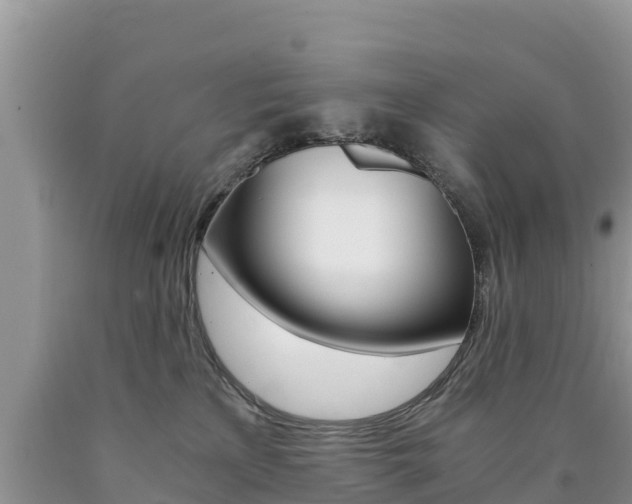 X0000090720233200707201020