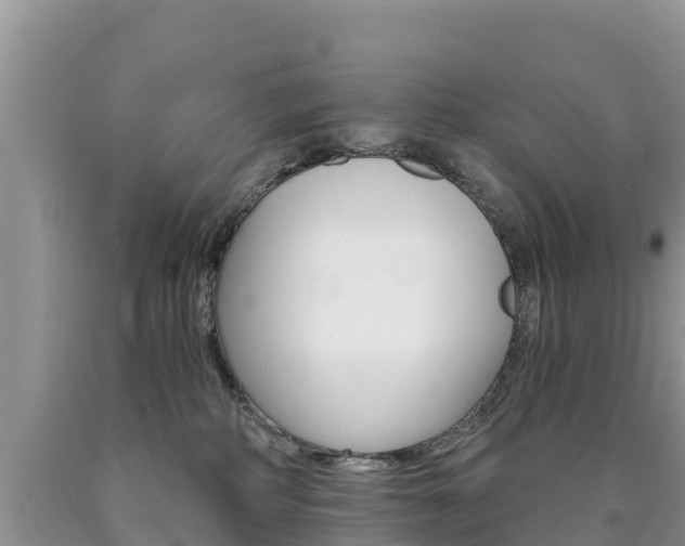 X0000090720234200707201020