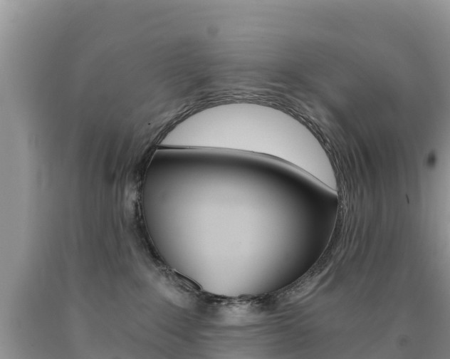 X0000090720235200707201020