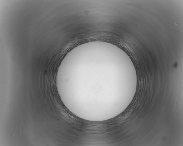 X0000090720237200707201020