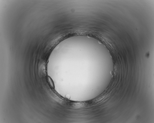 X0000090720238200707201020
