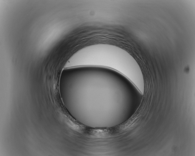 X0000090720239200707201020