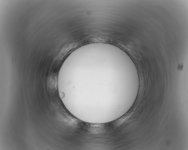 X0000090720240200707201020