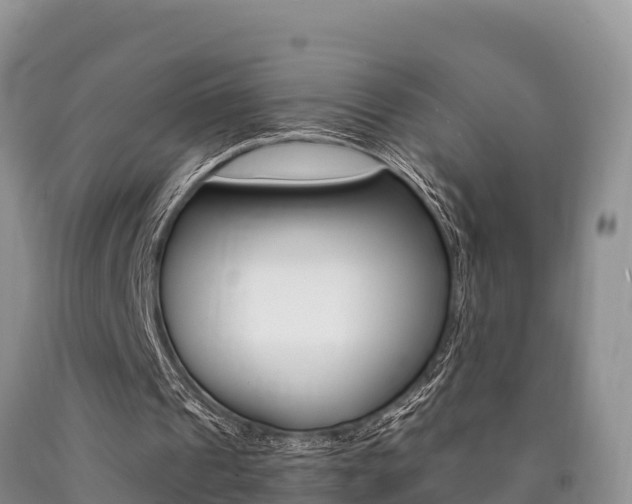 X0000090720241200707201020