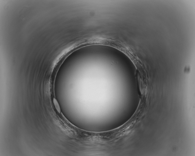 X0000090720244200707201020
