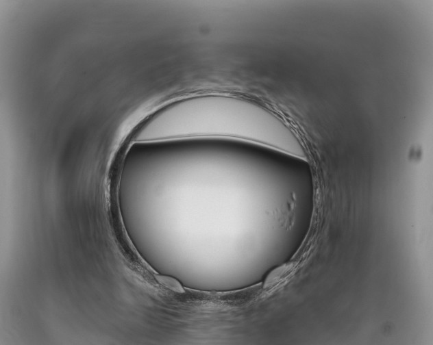 X0000090720246200707201020