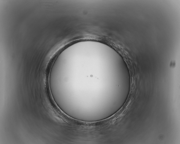 X0000090720247200707201020