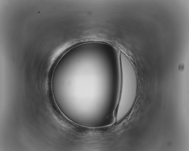 X0000090720248200707201020