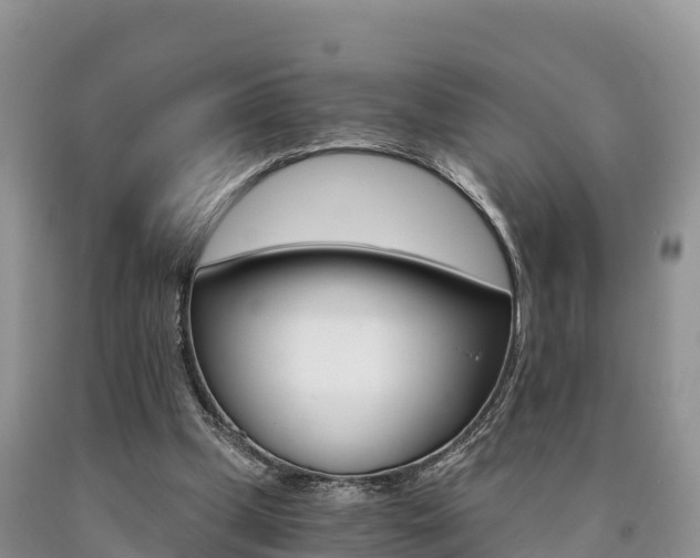 X0000090720249200707201020