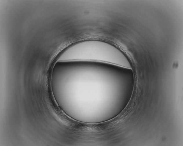 X0000090720250200707201020