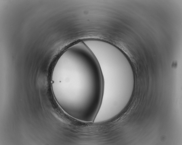 X0000090720252200707201020