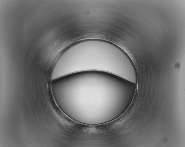 X0000090720253200707201020