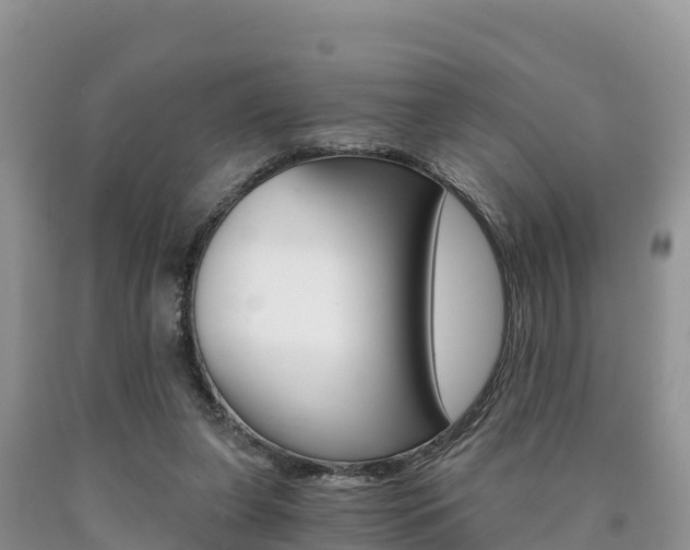X0000090720255200707201020