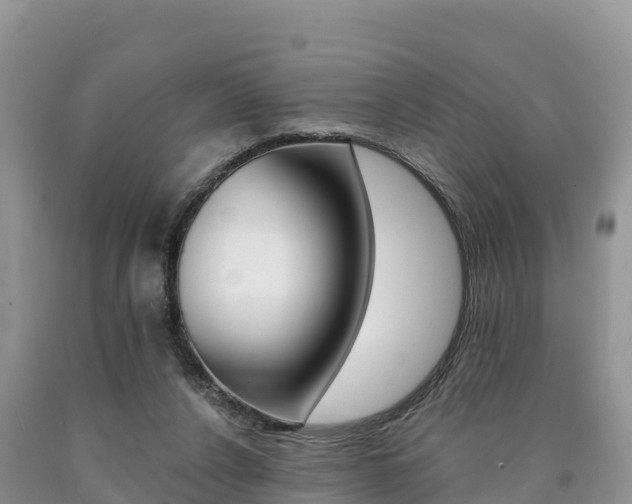 X0000090720256200707201020