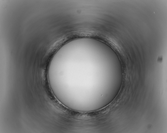 X0000090720258200707201020