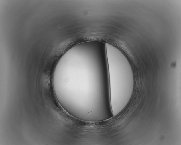 X0000090720259200707201020