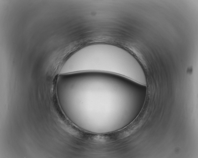 X0000090720261200707201020