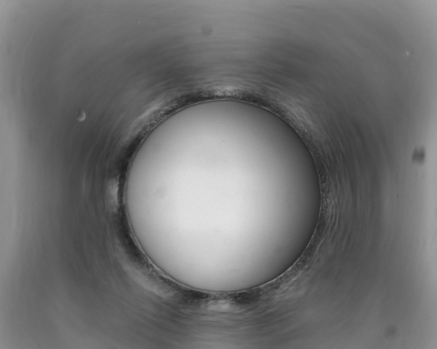 X0000090720262200707201020