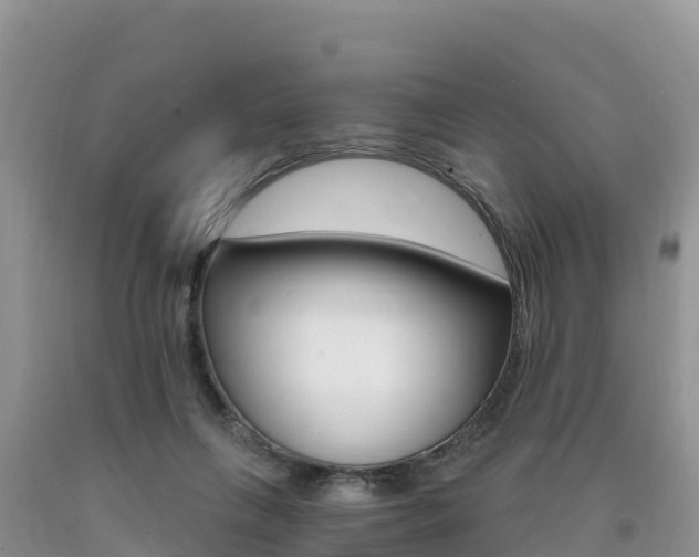 X0000090720263200707201020