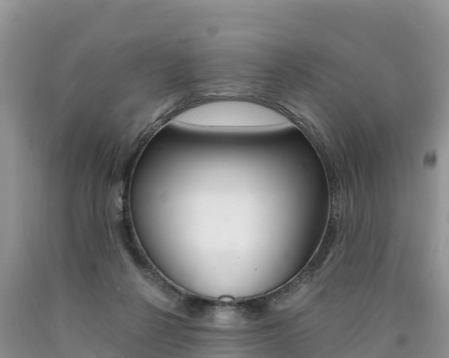 X0000090720264200707201020
