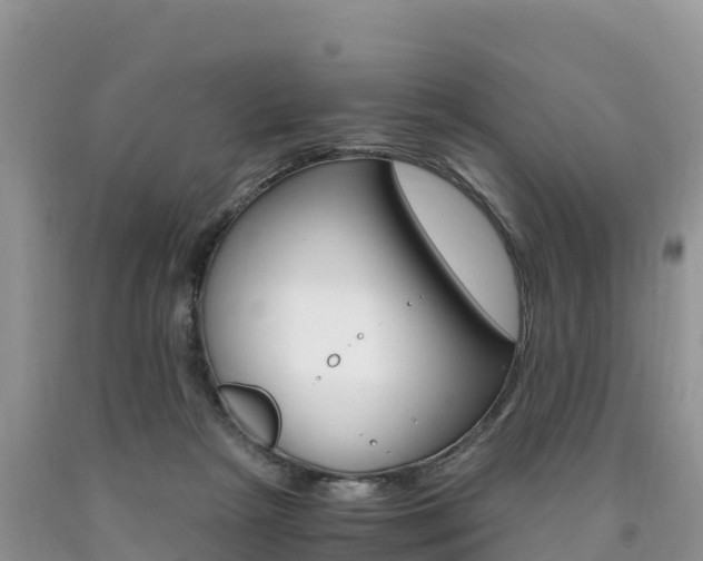 X0000090720265200707201020