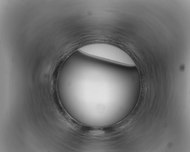 X0000090720266200707201020