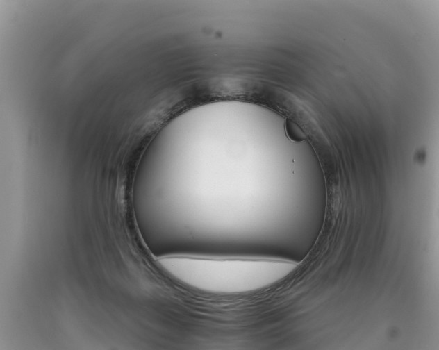 X0000090720267200707201020
