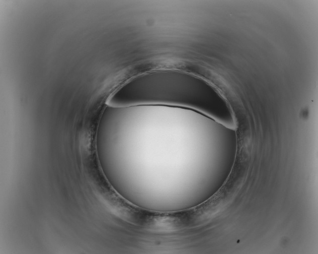 X0000090720268200707201020