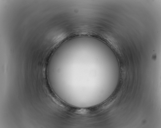 X0000090720269200707201020