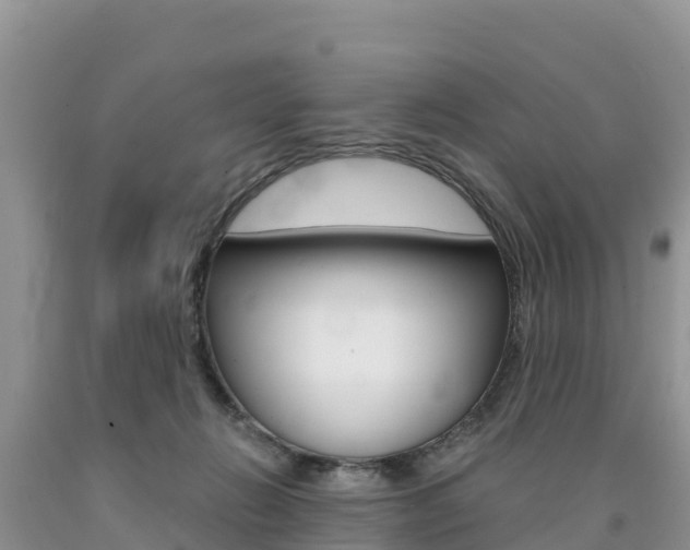 X0000090720270200707201020